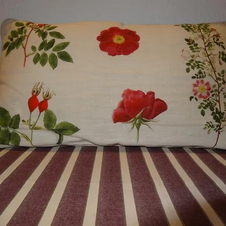 Olympia Guest house